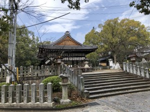 IMG_4207
